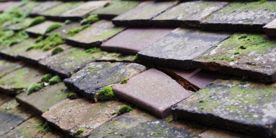 Friday Street roof repair costs